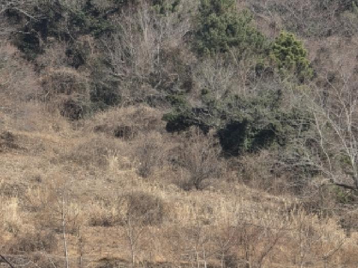 경상남도 통영시 한산면 용호리 960 답 경매 사진 8