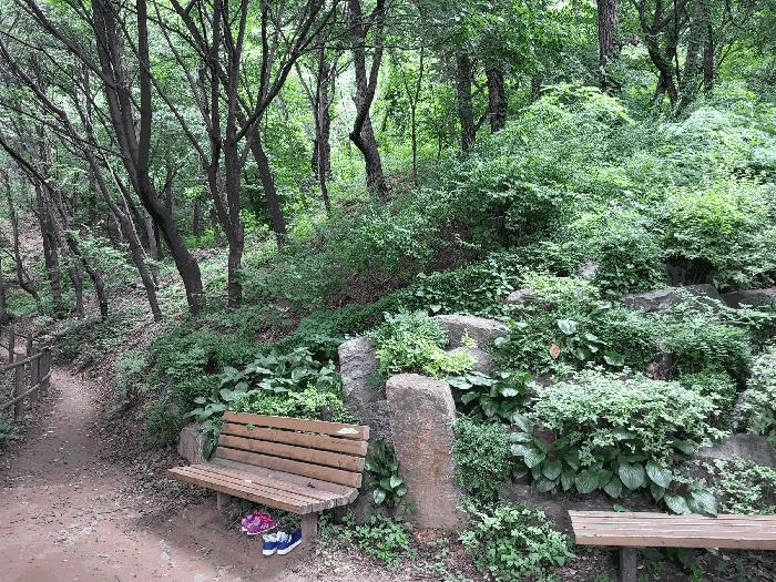 서울 은평구 임야