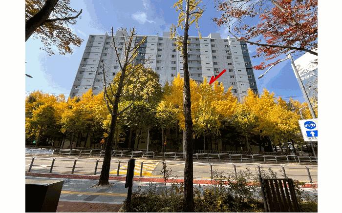서울특별시 성북구 석관동 110-2 중앙하이츠아파트 1동 8층 802호 아파트 경매 사진 5