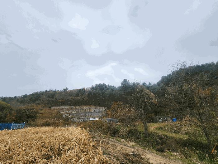 경기 가평군 임야