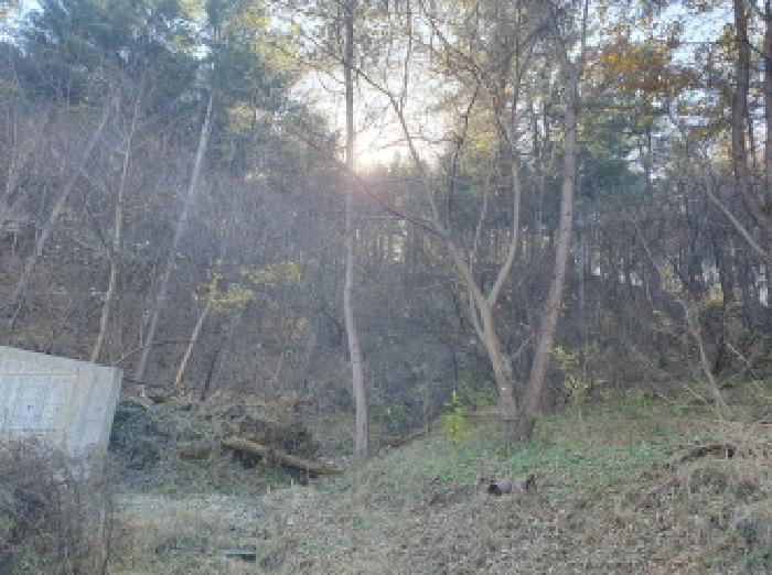 경기도 가평군 조종면 대보리 산248-8 임야 경매 사진 10