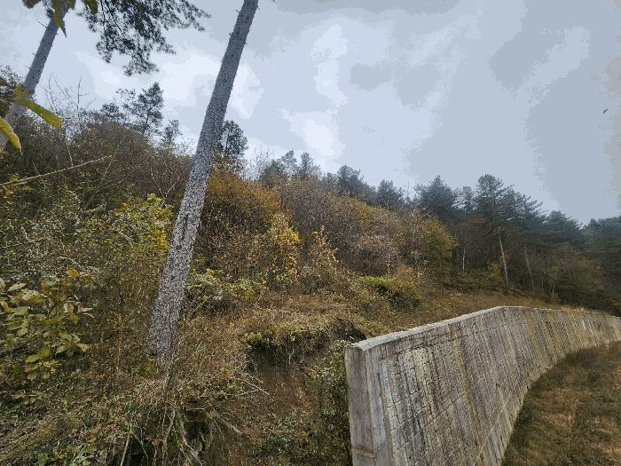 경기도 가평군 조종면 대보리 산248-8 임야 경매 사진 2