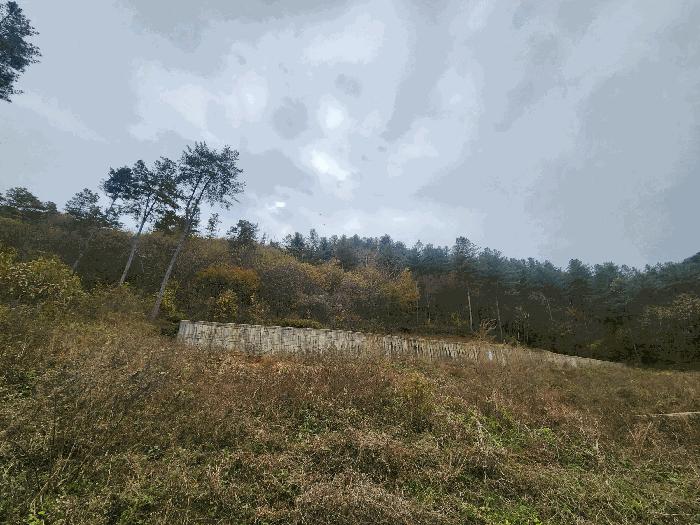 경기도 가평군 조종면 대보리 산248-8 임야 경매 사진 3