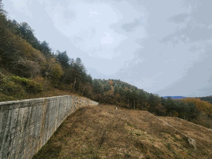 경기도 가평군 조종면 대보리 산248-8 임야 경매 사진 6