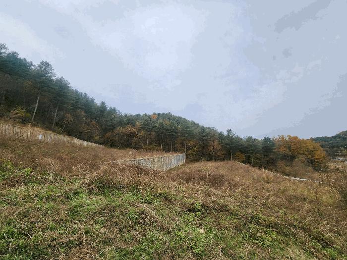 경기도 가평군 조종면 대보리 산248-8 임야 경매 사진 7
