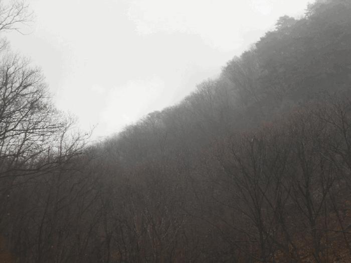 경기 가평군 임야