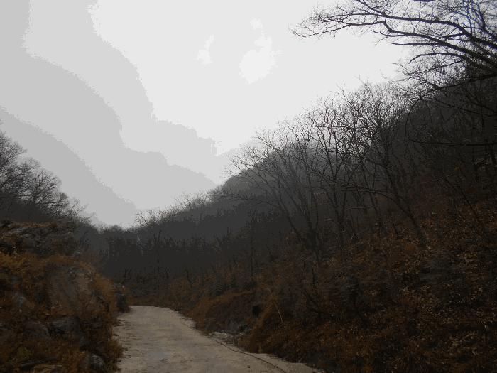 경기도 가평군 청평면 호명리 산114-2 임야 경매 사진 2