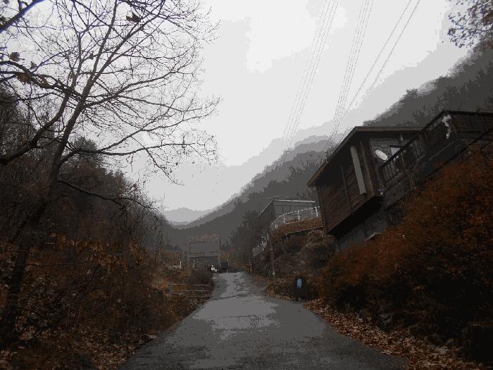 경기도 가평군 청평면 호명리 산114-2 임야 경매 사진 3