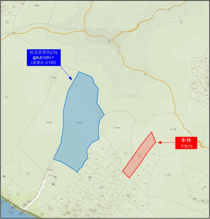 경기도 가평군 청평면 호명리 산114-2 임야 경매 사진 9