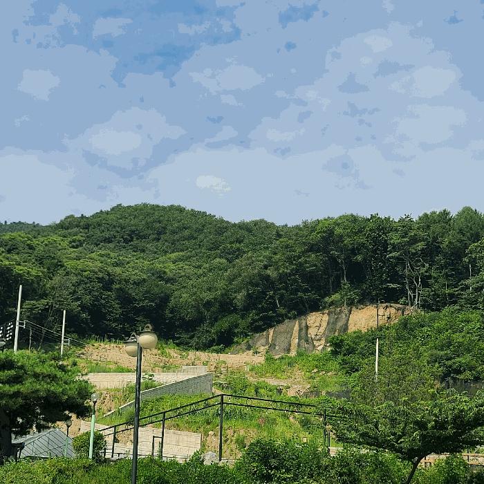 경기도 양주시 장흥면 석현리 241-2 전 경매 사진 16