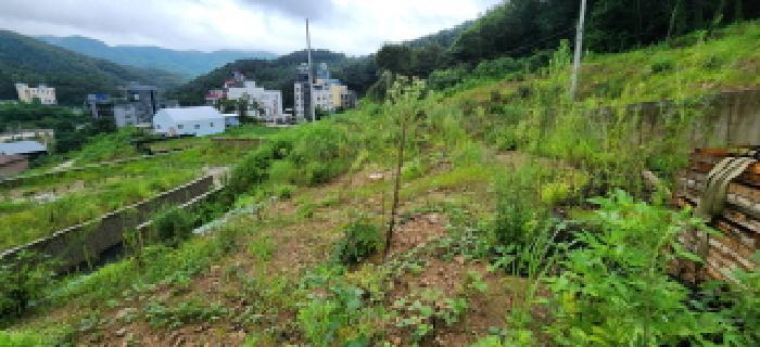 경기도 양주시 장흥면 석현리 241-2 전 경매 사진 20