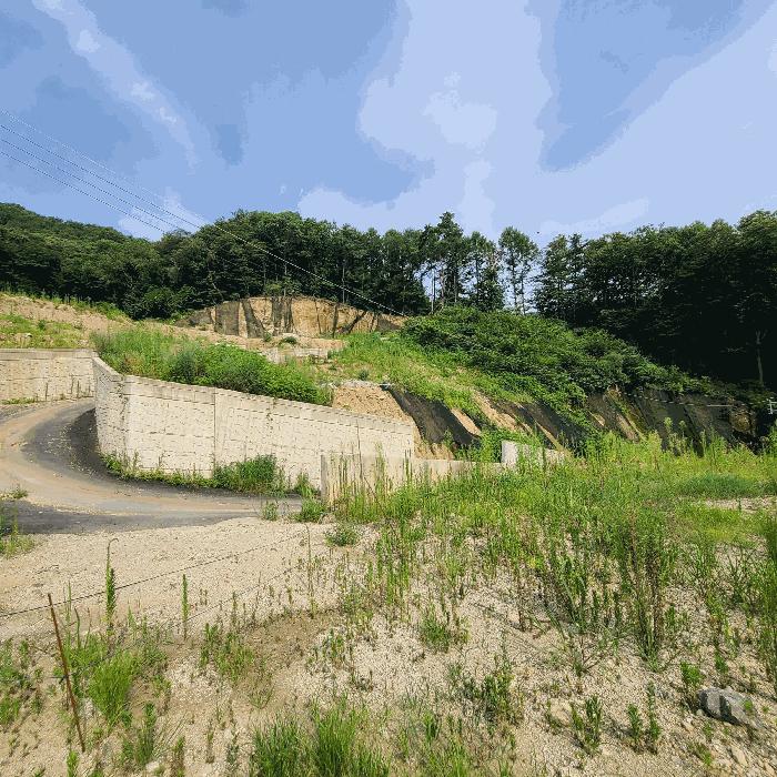 경기도 양주시 장흥면 석현리 241-2 전 경매 사진 3
