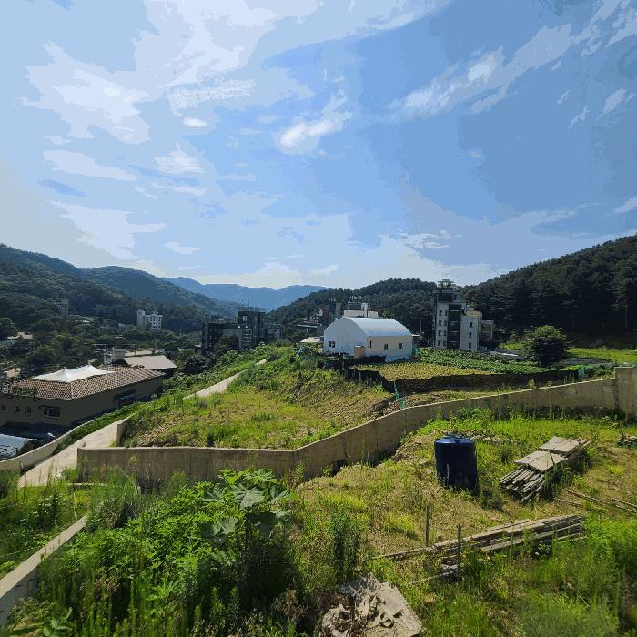 경기도 양주시 장흥면 석현리 241-2 전 경매 사진 5