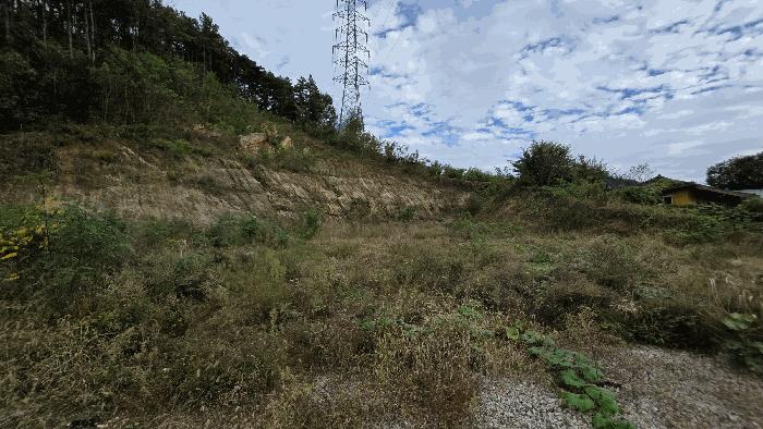 충청북도 청주시 상당구 가덕면 국전리 산15-11 임야 경매 사진 3