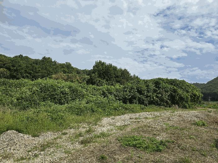 충청남도 보령시 천북면 사호리 777-1 대지 경매 사진 3