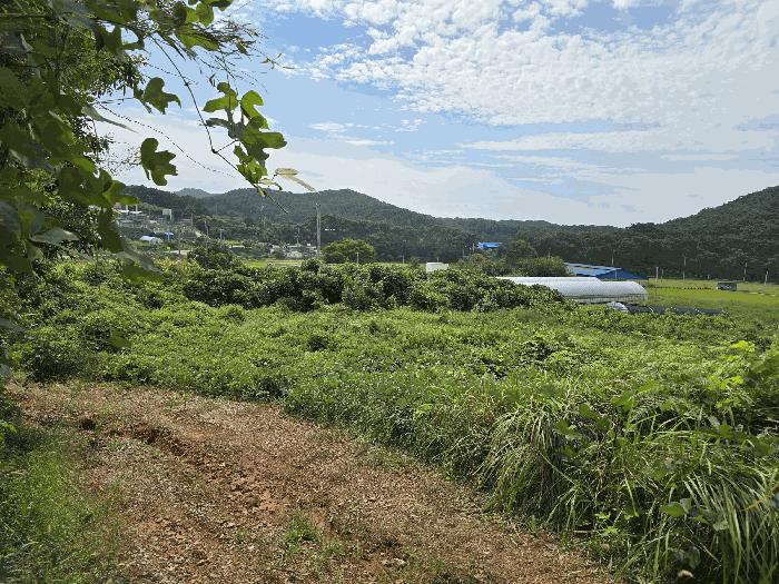 충청남도 보령시 천북면 사호리 777-1 대지 경매 사진 4