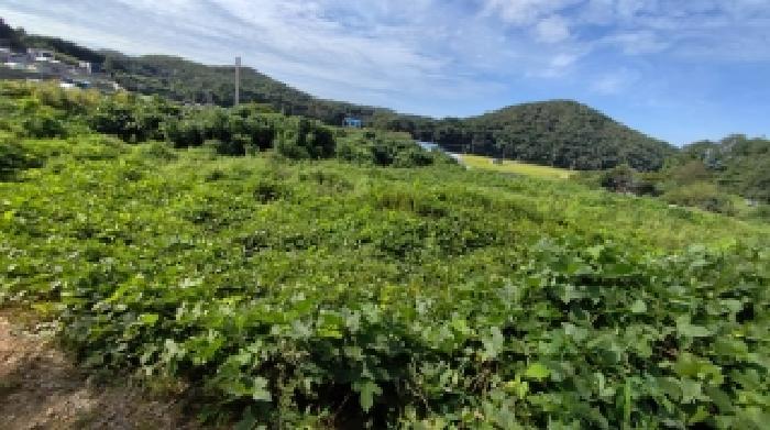 충청남도 보령시 천북면 사호리 777-1 대지 경매 사진 5