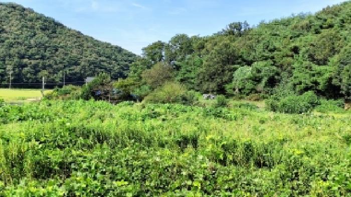 충청남도 보령시 천북면 사호리 777-1 대지 경매 사진 6