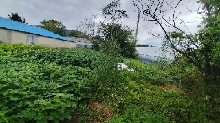 충청남도 보령시 청라면 향천리 27 창고 경매 사진 16