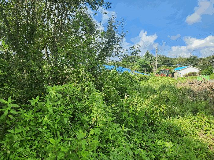 충청남도 보령시 청라면 향천리 27 창고 경매 사진 7