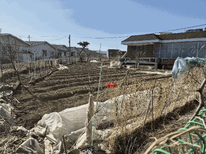 경기도 포천시 선단동 562-8 전 경매 사진 5