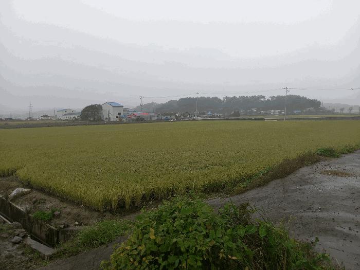 충청남도 서천군 장항읍 송림리 3-55 답 경매 사진 1