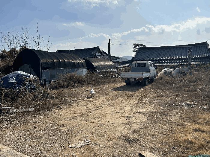 세종특별자치시 장군면 태산리 188-28 임야 경매 사진 16