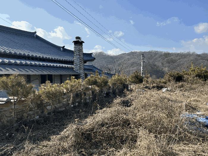 세종특별자치시 장군면 태산리 188-28 임야 경매 사진 18