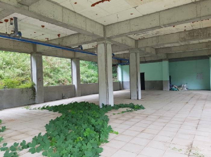 충청남도 천안시 동남구 북면 운용리 85 근린주택 경매 사진 5