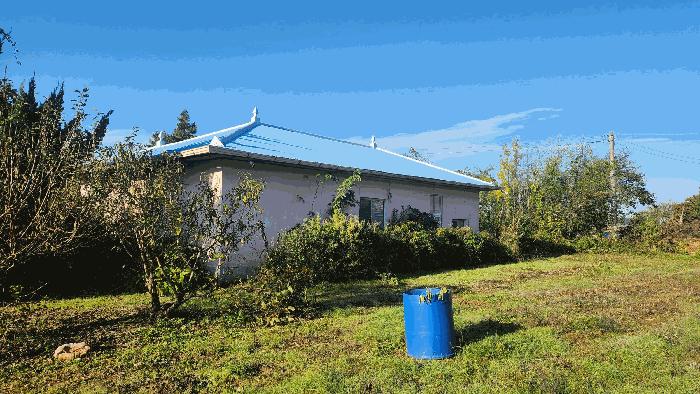 충청남도 아산시 신창면 수장리 195-15 전 경매 사진 6