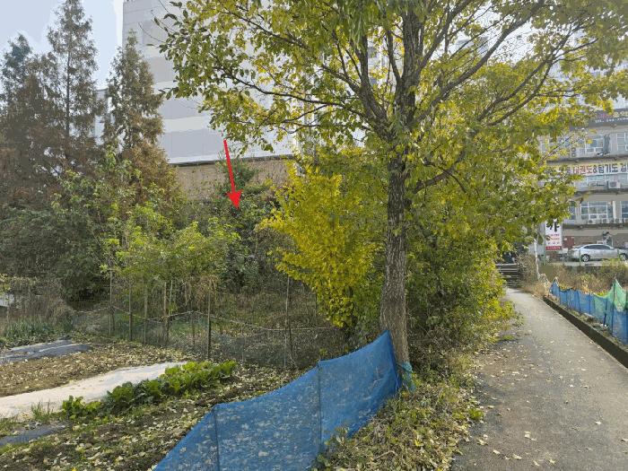 충청남도 아산시 모종동 361-175 전 경매 사진 2