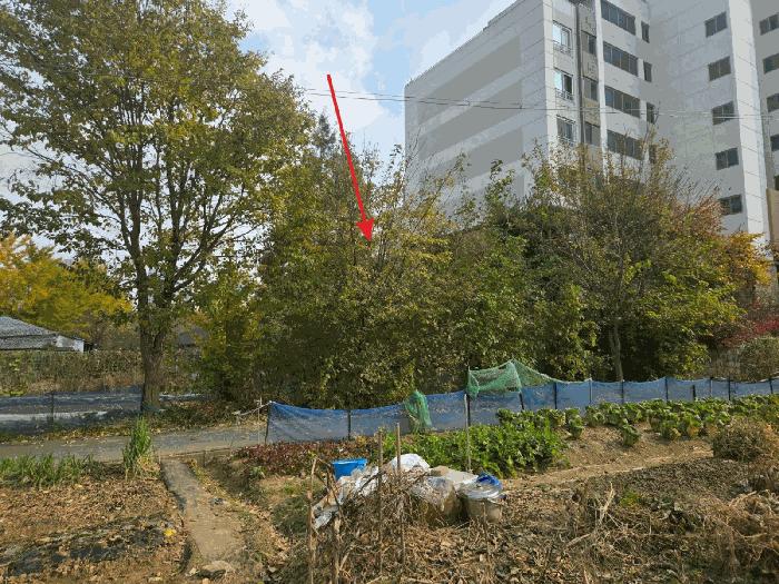 충청남도 아산시 모종동 361-175 전 경매 사진 6