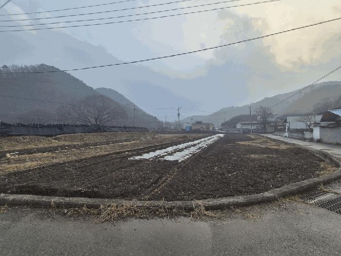 충청남도 금산군 진산면 막현리 337-2 전 경매 사진 3