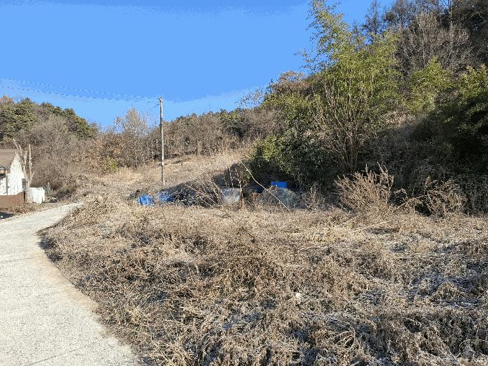충청남도 금산군 금산읍 하옥리 산1-3 임야 경매 사진 10