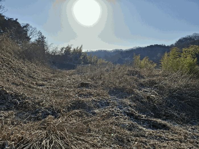 충청남도 금산군 금산읍 하옥리 산1-3 임야 경매 사진 11