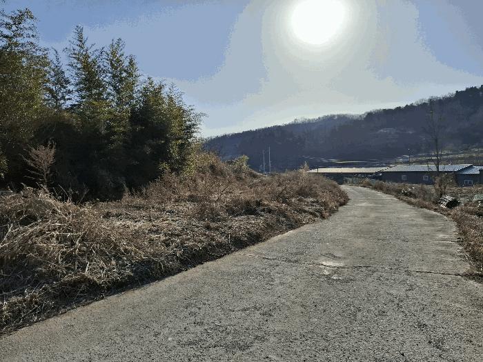 충청남도 금산군 금산읍 하옥리 산1-3 임야 경매 사진 12