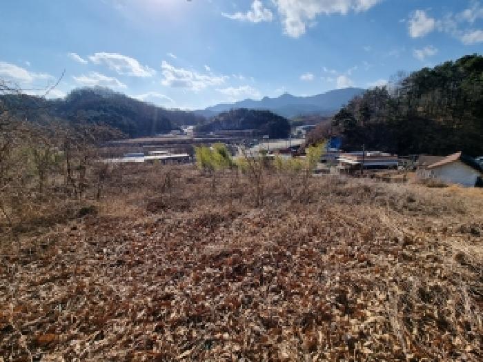 충청남도 금산군 금산읍 하옥리 산1-3 임야 경매 사진 13