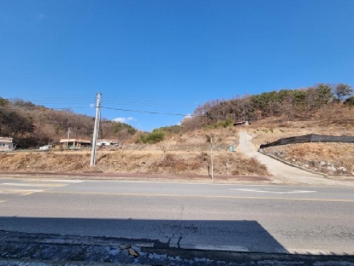 충청남도 금산군 금산읍 하옥리 산1-3 임야 경매 사진 17