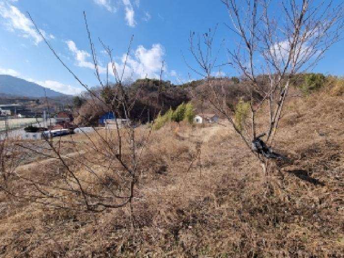 충청남도 금산군 금산읍 하옥리 산1-3 임야 경매 사진 19