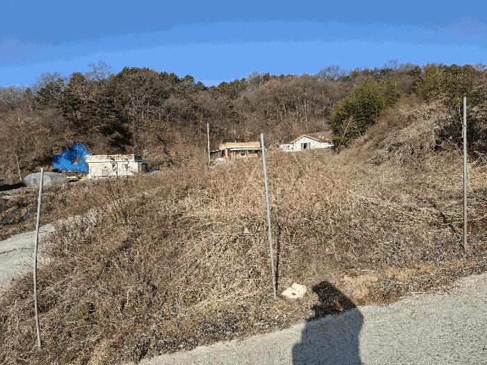 충청남도 금산군 금산읍 하옥리 산1-3 임야 경매 사진 2