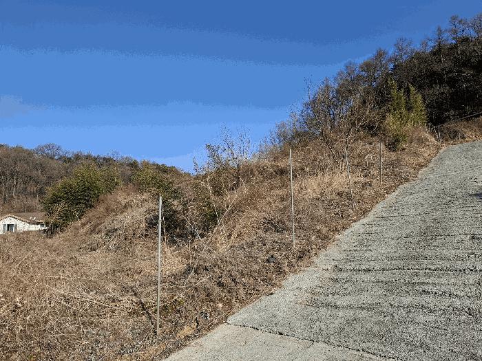 충청남도 금산군 금산읍 하옥리 산1-3 임야 경매 사진 5