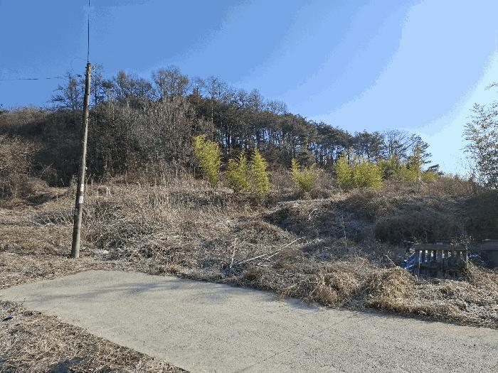 충청남도 금산군 금산읍 하옥리 산1-3 임야 경매 사진 7