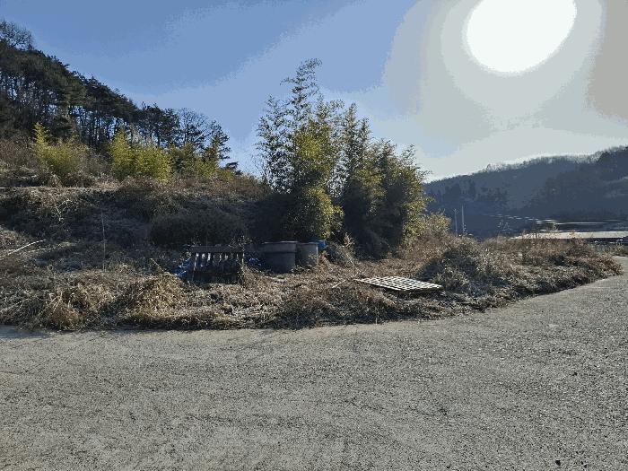 충청남도 금산군 금산읍 하옥리 산1-3 임야 경매 사진 8