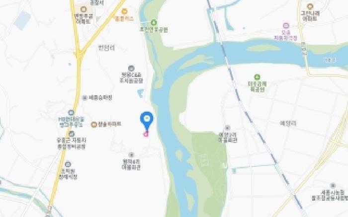 세종특별자치시 연서면 월하리 26-20 임야 경매 사진 10