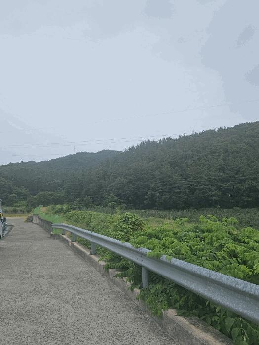 경상북도 경주시 동천동 산32 임야 경매 사진 3