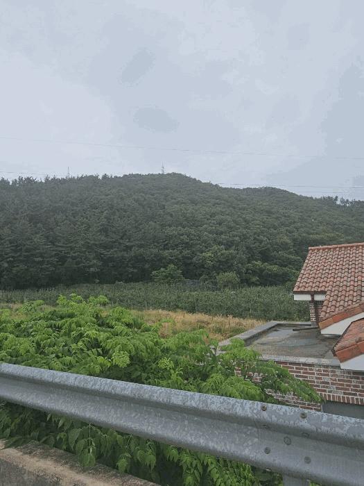 경상북도 경주시 동천동 산32 임야 경매 사진 4