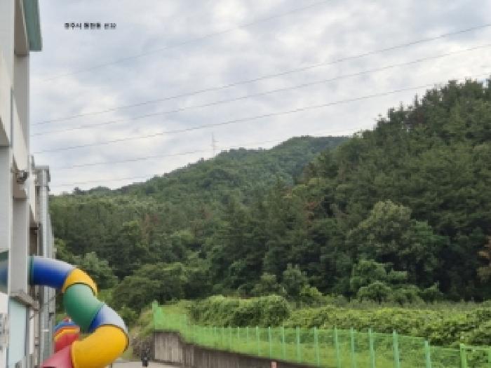 경상북도 경주시 동천동 산32 임야 경매 사진 5