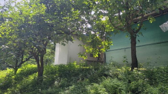 경상북도 구미시 해평면 산양리 82 전 경매 사진 11