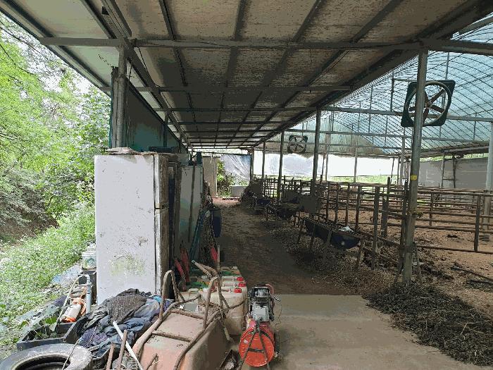 경상북도 구미시 해평면 산양리 82 전 경매 사진 3