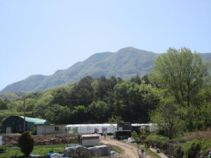 경상북도 상주시 모서면 득수리 산146 임야 경매 사진 10